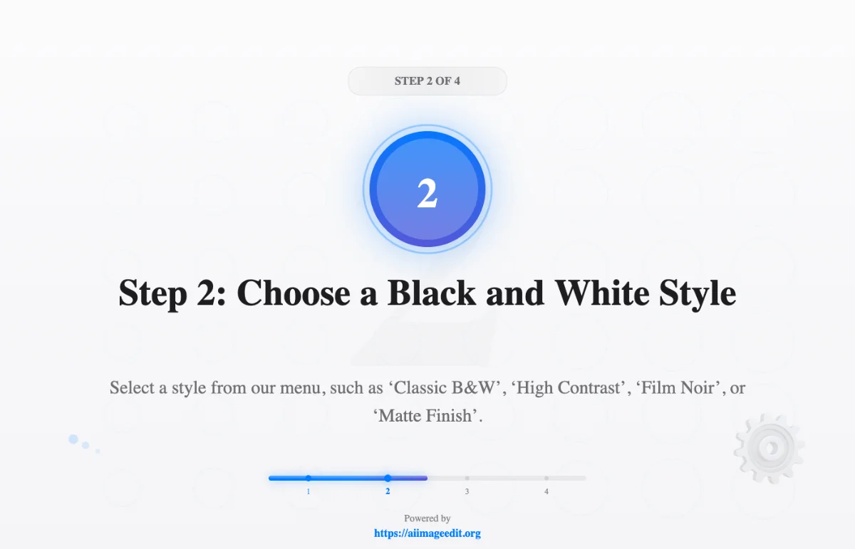 الخطوة 2: اختر نمطًا بالأبيض والأسود